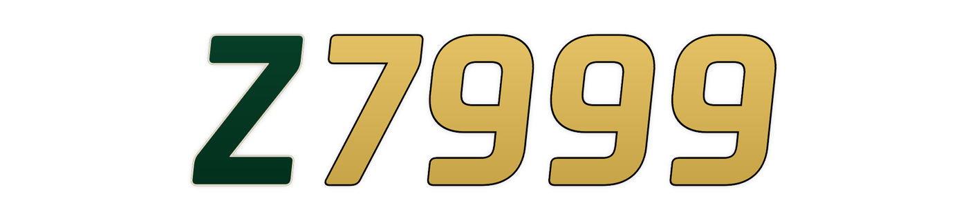 z7999 logo